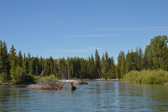 Scenic Float Trip in Grand Teton National Park Jackson Hole - Price and value: is $76.29 a good deal here?