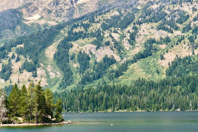 Scenic Float Trip in Grand Teton National Park Jackson Hole - Morning vs afternoon: how your day stays flexible