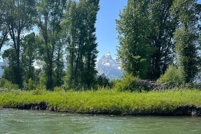Scenic Float Trip on the Snake River in Grand Teton National Park - Wildlife odds on the Snake River: great birds, moose expectations