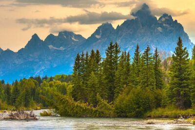 Scenic Float Trip on the Snake River in Grand Teton National Park - What your guide actually does (and why it changes the whole trip)