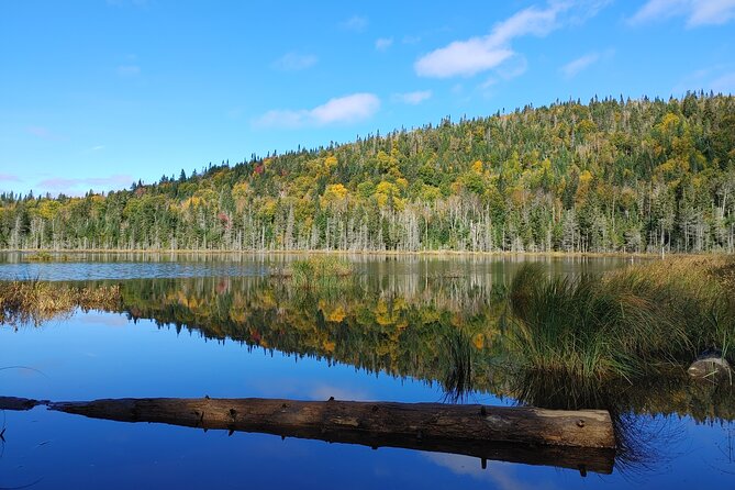Scenic Hiking Adventure at Mont-Orford National Park - Mont-Orford National Park: why this hike feels worth a 9-hour day