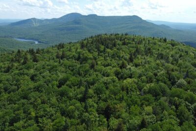 Scenic Hiking Adventure at Mont-Orford National Park - Getting there from Montreal: pickup and the smooth start