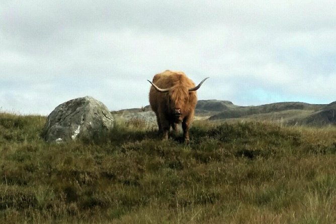 Scottish Highlands Freedom Bike & E- Bike Tour with Transfers - From Edinburgh pickup to Highlands riding: how the day flows