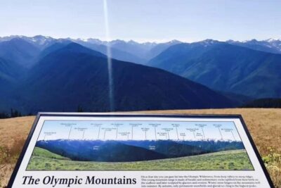 Seattle: Olympic National Park Day Tour with Scenic Ferries - Seattle to Bainbridge by ferry: more than just transportation