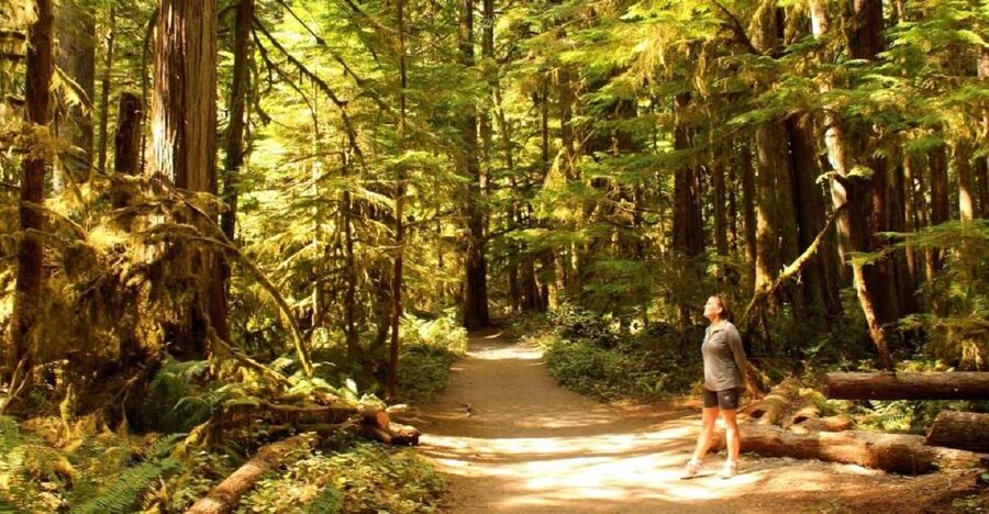 Seattle: Olympic National Park Small-Group Tour - Lakes Crescent or Quinault: glacial shape, calm shore walks, and easy refresh