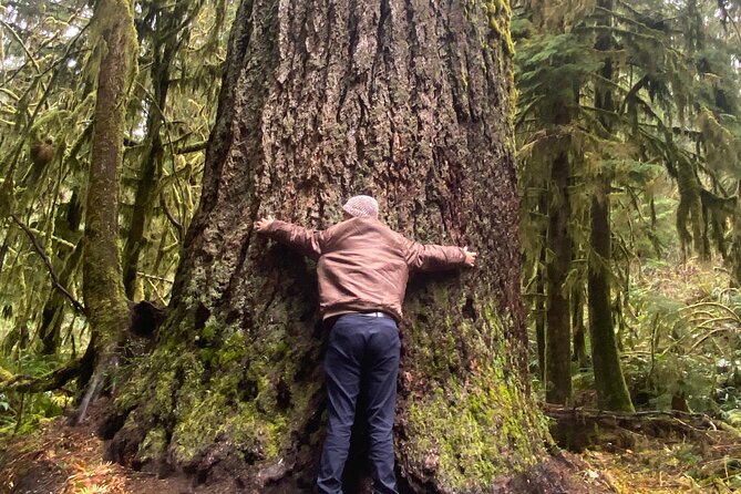 Seattle: Rainforest, Beach, and Olympic National Park Highlights - From The Westin Seattle to Aberdeen: Kurt Cobain-style detour