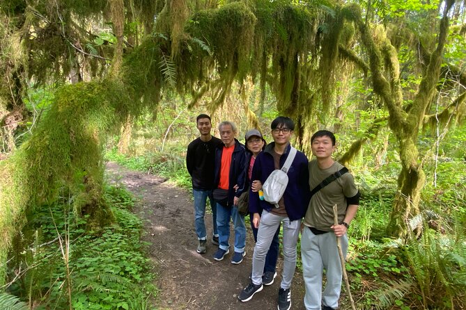 Seattle: Rainforest, Beach, and Olympic National Park Highlights - Hoh Rain Forest Hall of Mosses: plan for magic, handle timing