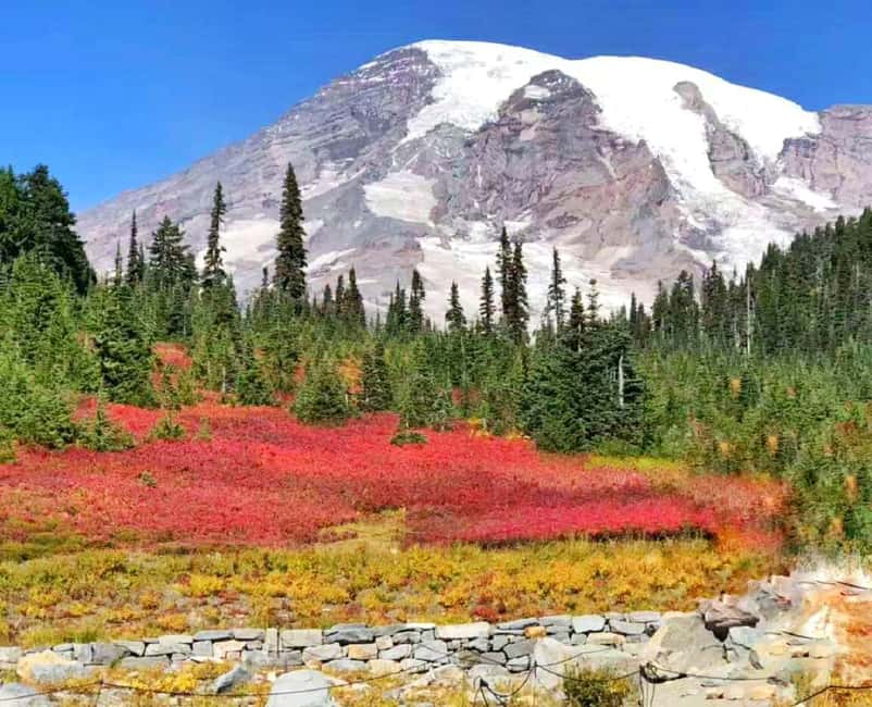 Seattle:Small Group Mount Rainier National Park 1-Day Tour - Seattle to Mount Rainier: why this day trip feels efficient