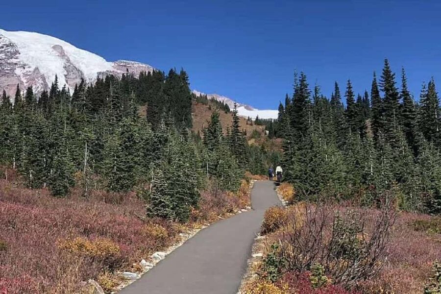 Seattle:Small Group Mount Rainier National Park 1-Day Tour - The winter route (Nov to April) and what changes under snow