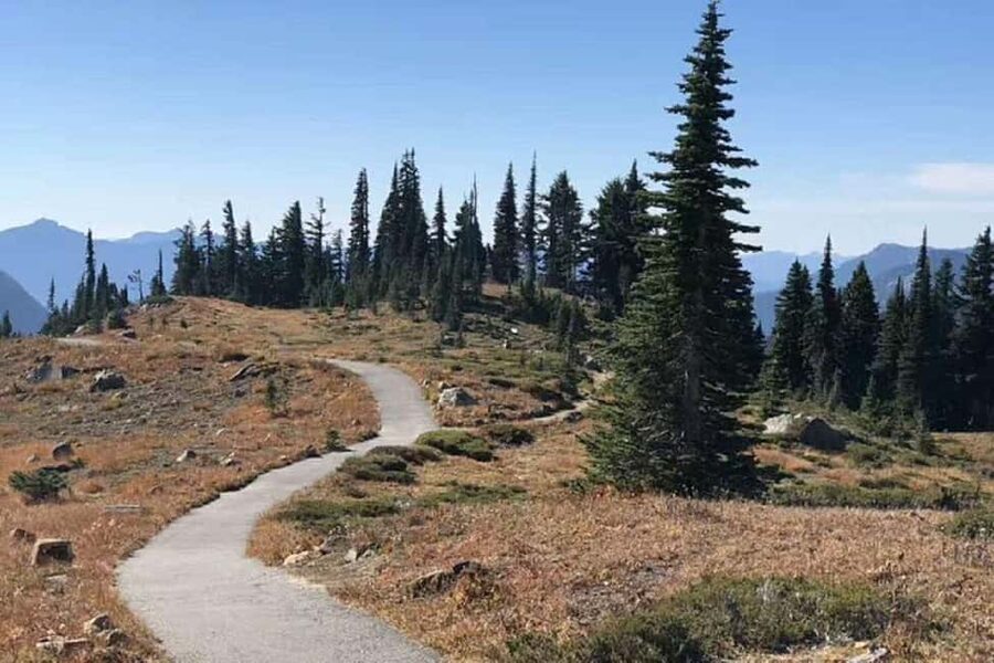 Seattle:Small Group Mount Rainier National Park 1-Day Tour - Hiking and snowshoeing: the day adapts to season, not just weather