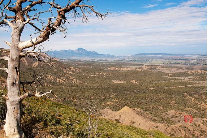 Self-Guided Audio Driving Tour in Mesa Verde National Park - Chapin Mesa Archeological Museum: when you want context before the ruins