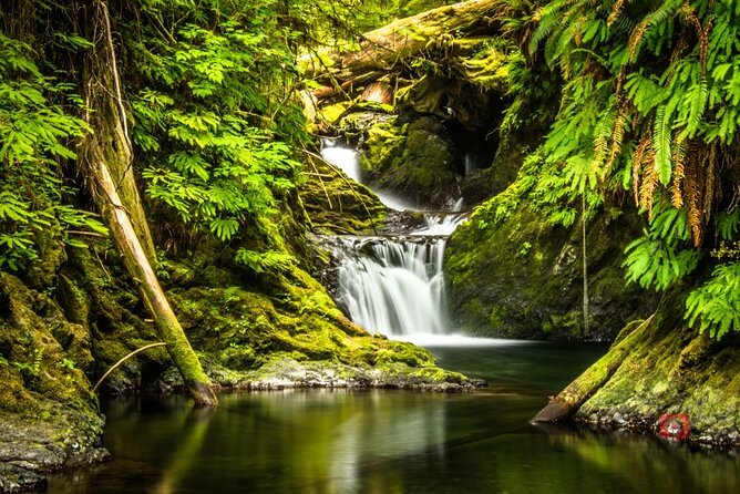 Self-Guided Audio Driving Tour in Olympic National Park - Stop-by-Stop: What Each Place Adds to Your Olympic Day