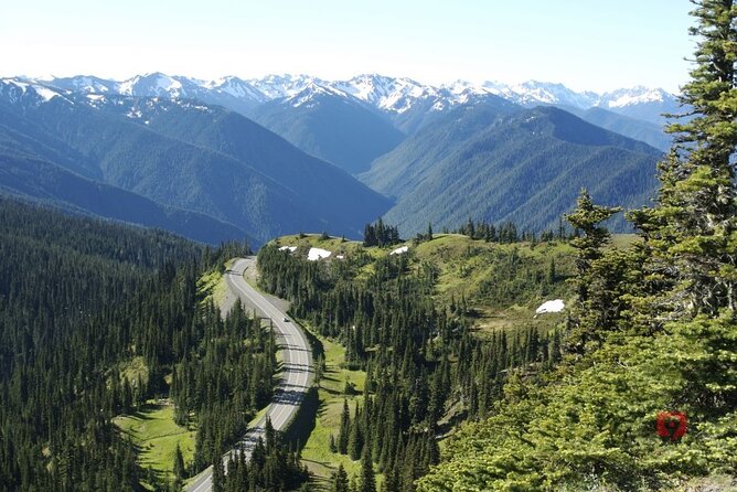 Self-Guided Audio Driving Tour in Olympic National Park - A Few Smart Planning Tips Before You Hit the Road