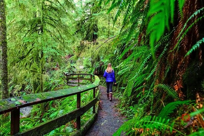 Self-Guided Audio Driving Tour in Olympic National Park - Who This Tour Fits Best