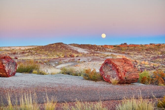 Self-Guided Audio Driving Tour in Petrified Forest National Park - How the GuideAlong GPS Audio Works (And Why It Matters)