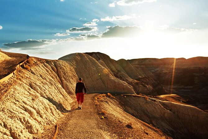 Self-Guided Audio Driving Tour in Petrified Forest National Park - Rim Trail, Painted Desert Inn, and the Route 66 Story You’ll Actually Remember