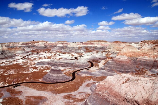 Self-Guided Audio Driving Tour in Petrified Forest National Park - Pintado, Nizhoni, and Lacey Points: Pick Your Crowd Level