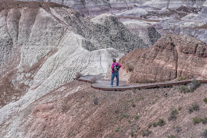 Self-Guided Audio Driving Tour in Petrified Forest National Park - Newspaper Rock Petroglyphs: One of the Most Human Stops