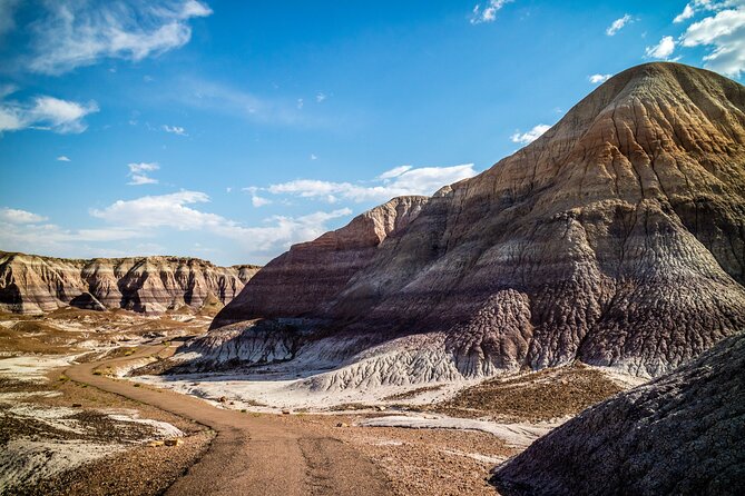 Self-Guided Audio Driving Tour in Petrified Forest National Park - Blue Forest Trailhead and the Work-For-Reward Stretch