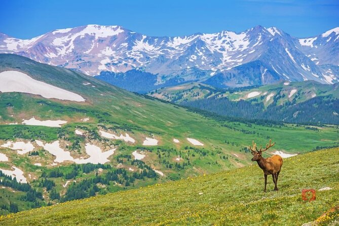 Self-Guided Audio Driving Tour in Rocky Mountain National Park - Trail Ridge Road: your day’s biggest payoff, the climb above treeline