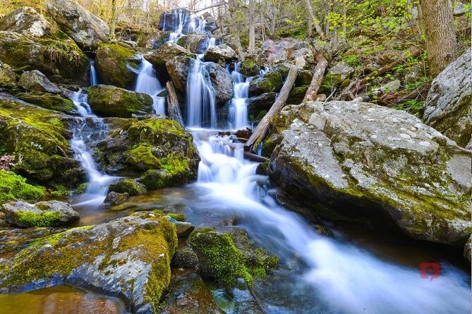Self-Guided Audio Driving Tour in Shenandoah National Park - Stop 2: Skyline Drive is the main event, and the audio helps you choose