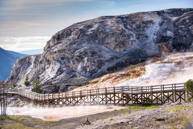 Self-Guided Audio Driving Tour in Yellowstone National Park - Comfort and control: pacing, phone use, and safety basics