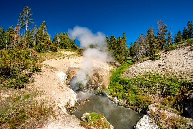 Self-Guided Audio Driving Tour in Yellowstone National Park - Should you book this Yellowstone self-guided driving tour?