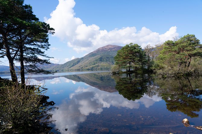 Self-Guided Bike Tour of Killarney National Park, Muckross Gardens & Waterfall - Stop 2: Muckross Abbey’s Medieval Calm (and the Cromwell Connection)