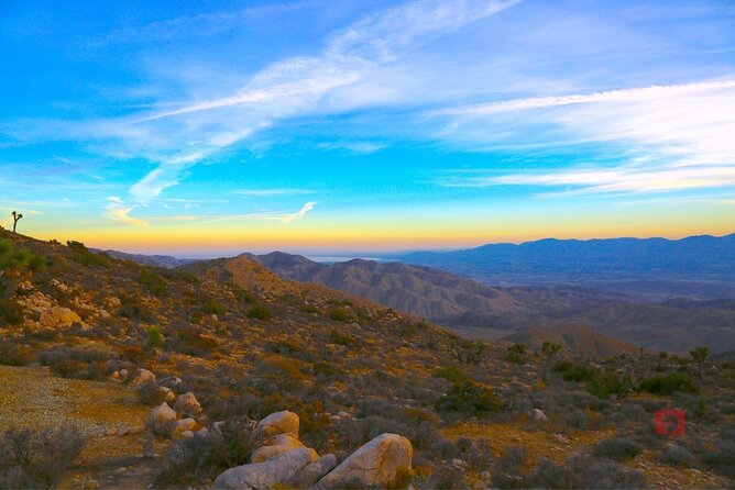 Self-Guided Driving Audio Tour in Joshua Tree National Park - Stop-by-stop: the best moments you can hit in one drive