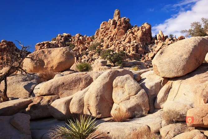 Self-Guided Driving Audio Tour in Joshua Tree National Park - What makes the route feel good: flexible, offline, and low-effort