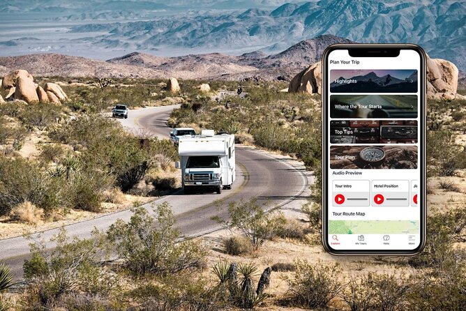 Self-Guided Driving Audio Tour in Joshua Tree National Park - Who should book, and who might not love it