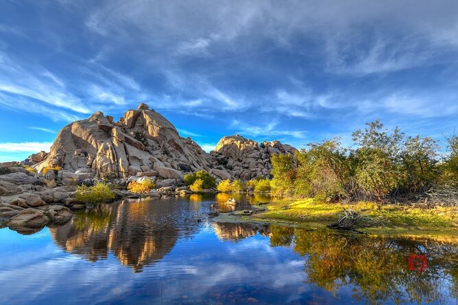 Self-Guided Driving Audio Tour in Joshua Tree National Park - Should you book the Joshua Tree self-guided driving audio tour?