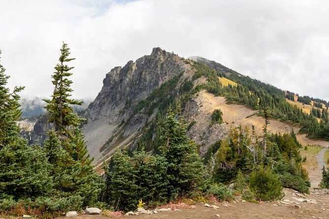 Self Guided Driving Audio Tour of Mount Rainier National Park - Why a GPS audio loop works so well at Mount Rainier
