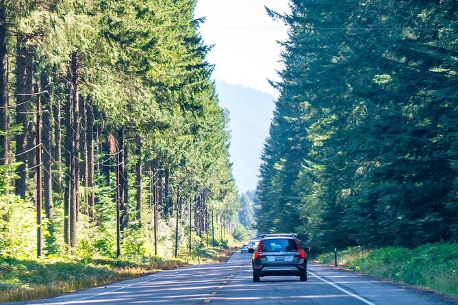 Self Guided Driving Audio Tour of Mount Rainier National Park - Stop-by-stop: Nisqually Entrance, Tahoma Creek, and Twin Firs Loop
