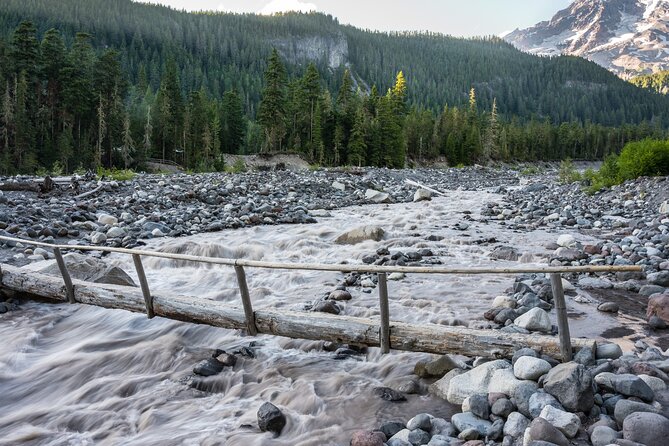 Self Guided Driving Audio Tour of Mount Rainier National Park - Ricksecker Point, Frog Heaven, and the Tatoosh Range