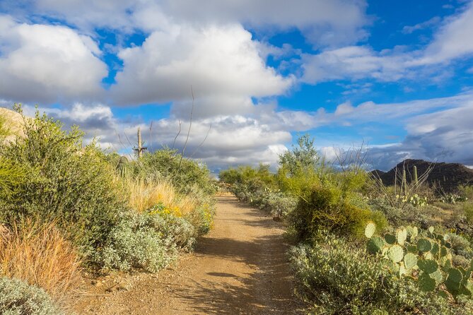 Self Guided Driving Audio Tour of Saguaro National Park - Getting Started at 4960 W Ajo Hwy: Offline Audio on Your Schedule