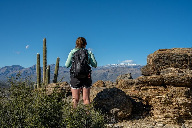 Self Guided Driving Audio Tour of Saguaro National Park - What Makes This Tour Worth It (and What Might Annoy You)