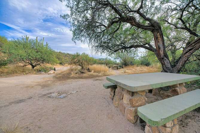 Self Guided Driving Audio Tour of Saguaro National Park - Who This Tour Fits Best