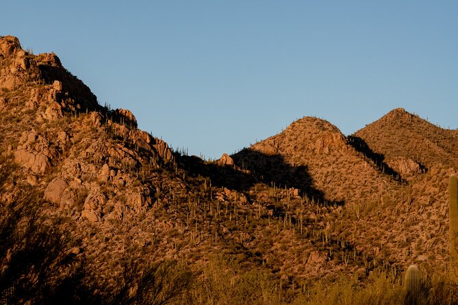 Self Guided Driving Audio Tour of Saguaro National Park - Should You Book It?