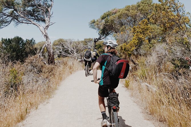 Self-Guided Point Nepean National Park Bike Hire - Fort Nepean: defensive tunnels and a wider coastal story