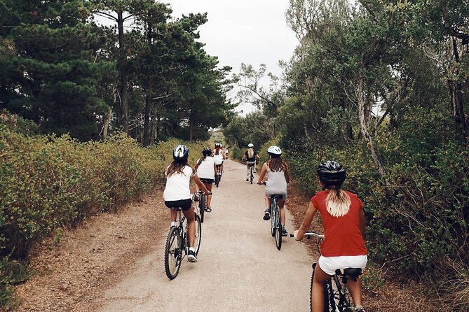 Self-Guided Point Nepean National Park Bike Hire - Who should book this bike hire?