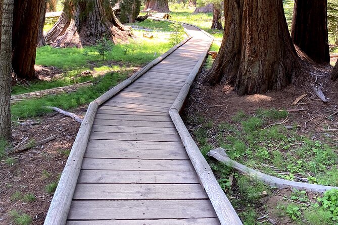 Semi Private Tour to Sequoia National Park with Lunch - Giant Forest Museum: the quickest way to understand what you’re about to see