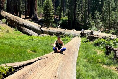 Semi Private Tour to Sequoia National Park with Lunch - Clingan’s Junction Cabins & Coffee: a smart warm-up before the big trees