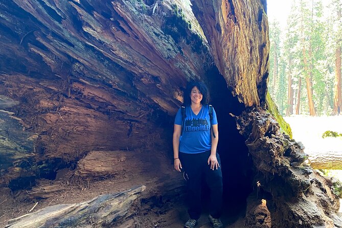 Semi Private Tour to Sequoia National Park with Lunch - Big Trees Trail around Round Meadow: a paved win for mixed groups
