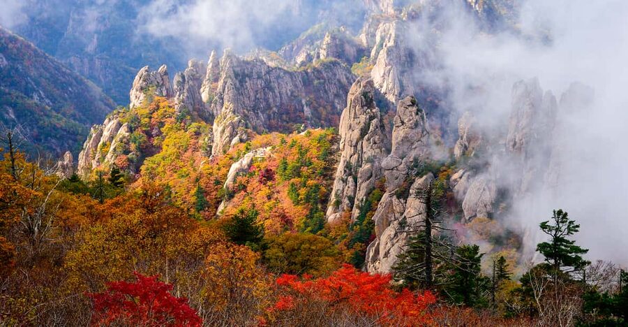 Seoul: Mt. Seoraksan National Park Autumn Foliage Day Tour - Key things I’d watch for