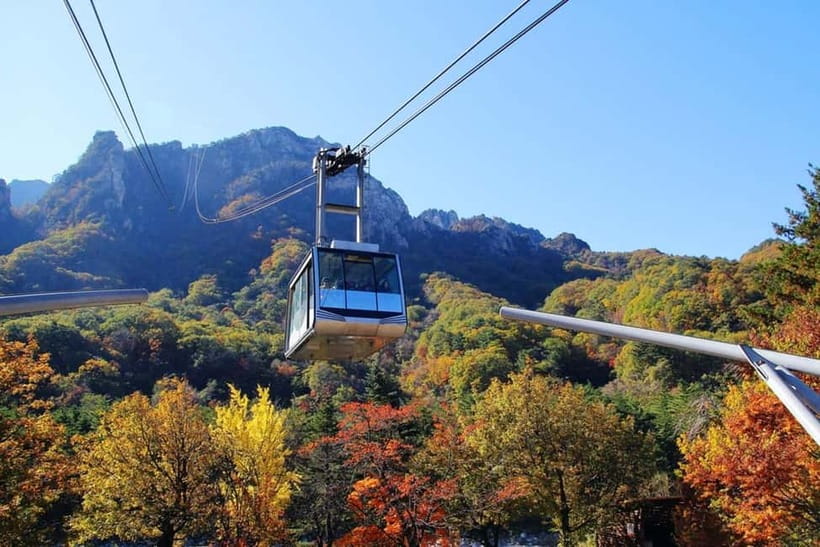 Seoul: Mt. Seoraksan National Park Autumn Foliage Day Tour - Should you book this Seoraksan autumn day tour?