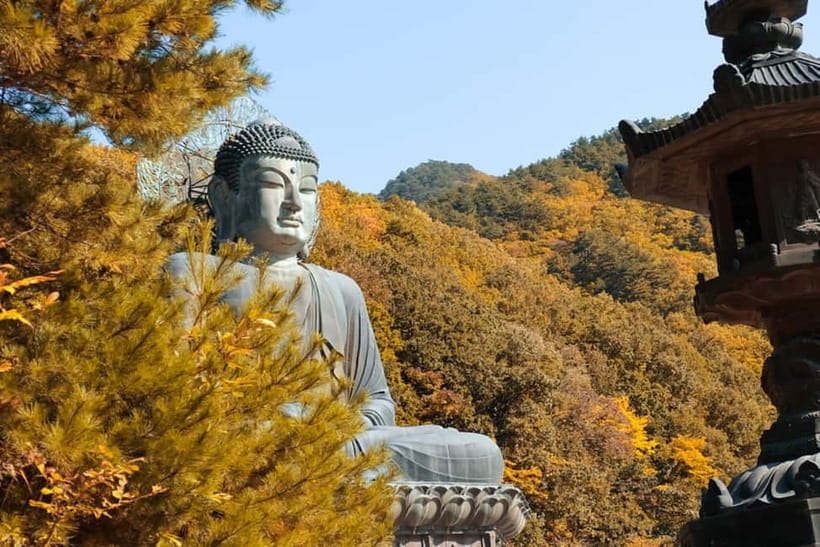 Seoul: Mt. Seoraksan National Park Autumn Foliage Day Tour - Seoraksan autumn in one day: peaks, trails, and real mountain time