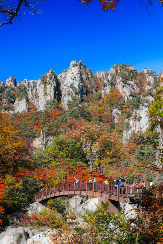 Seoul: Mt. Seoraksan National Park Autumn Foliage Day Tour - Your 5 hours on the mountain: choosing the hike you can handle
