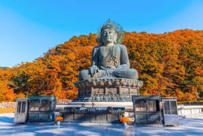 Seoul: Mt. Seoraksan National Park Autumn Foliage Day Tour - Seoul-to-Seoraksan timing: why the schedule actually works