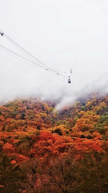 Seoul: Mt. Seoraksan National Park Autumn Foliage Day Tour - Cable car: when to use it, and why the ticket matters